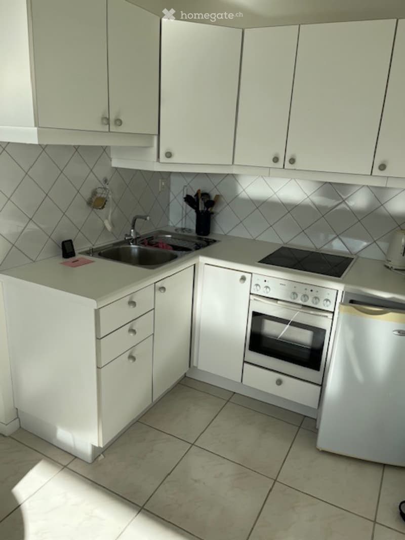 Lumineux studio meublé (3)