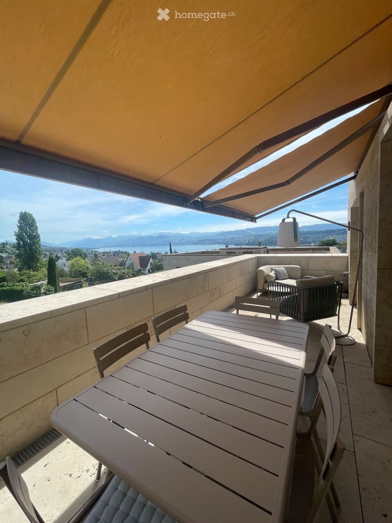 Stunning Lakeview Apartment 3.5 Rooms (2)