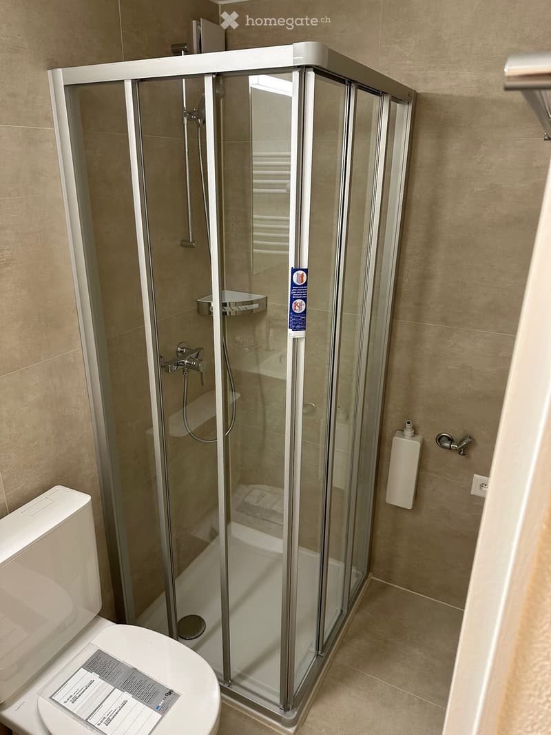 Appartement 1,5 pièces à louer à Colombier (4)