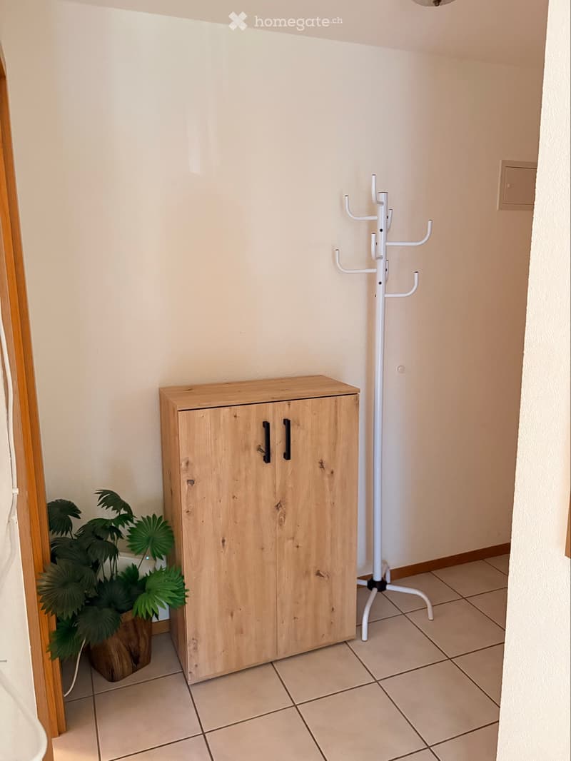 Location 1pce meublé (3)