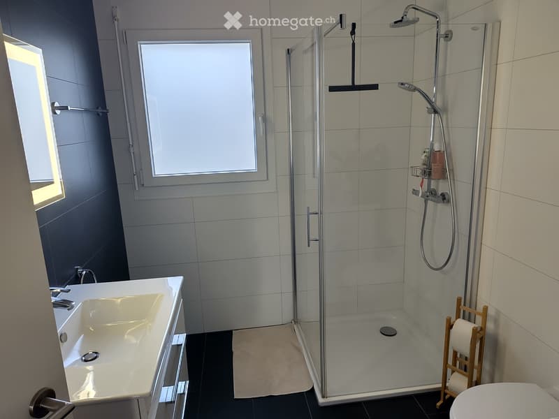 Appartement 3,5 pièces lumineux et récent (5)