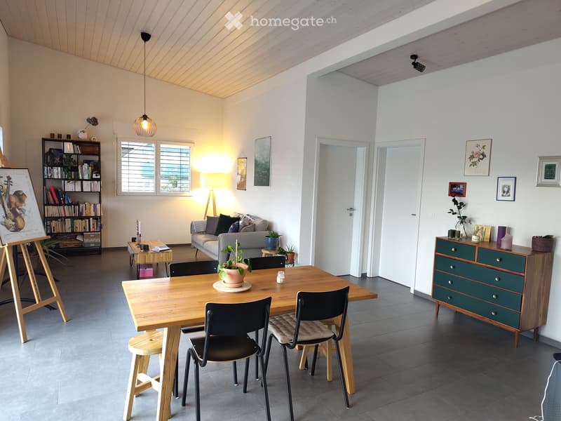 Appartement 3,5 pièces lumineux et récent (1)