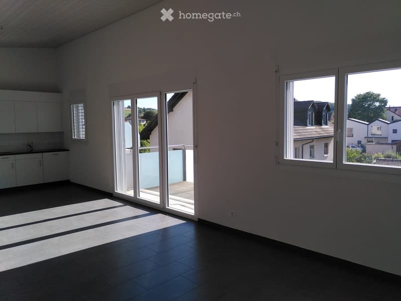 Appartement 3,5 pièces lumineux et récent (2)