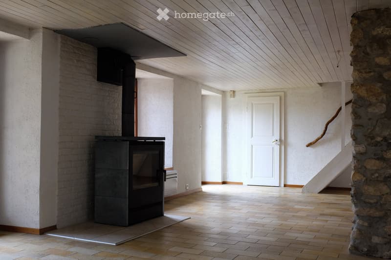 Magnifique appartement en duplex de 4,5 pièces (3)
