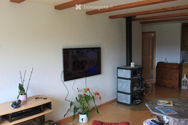 Appartement 4,5 pièces à louer (2)