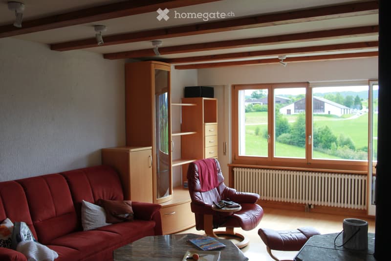 Appartement 4,5 pièces à louer (1)