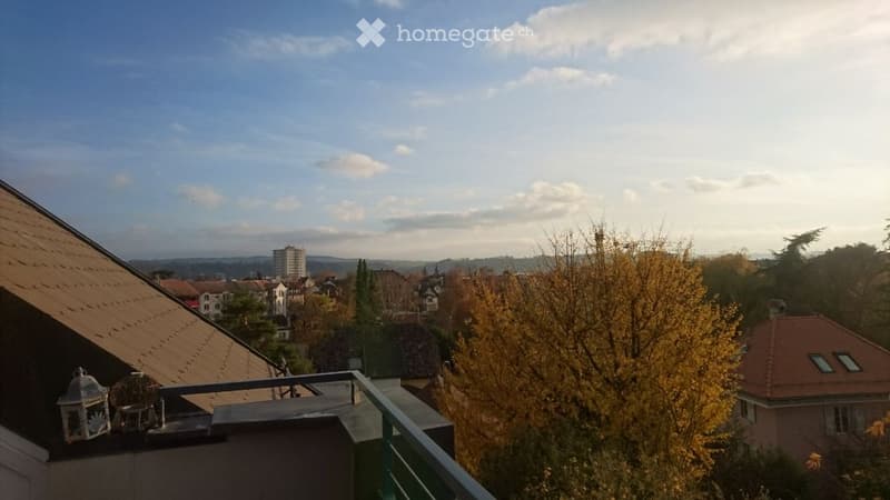 Magnifique 3.5 pièces au centre d'Yverdon-les-Bains (5)