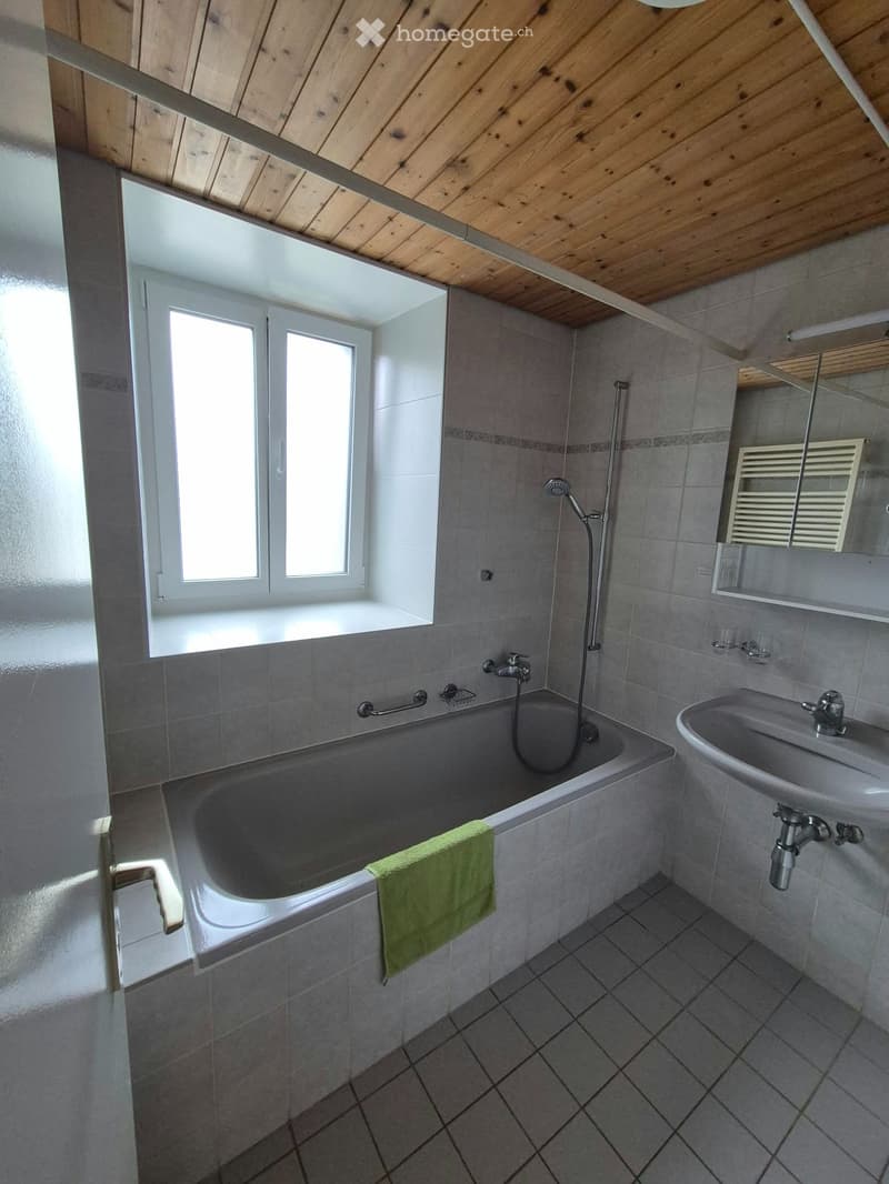 Appartement avec terrasse au bord du lac de Bret à Puidoux (4)