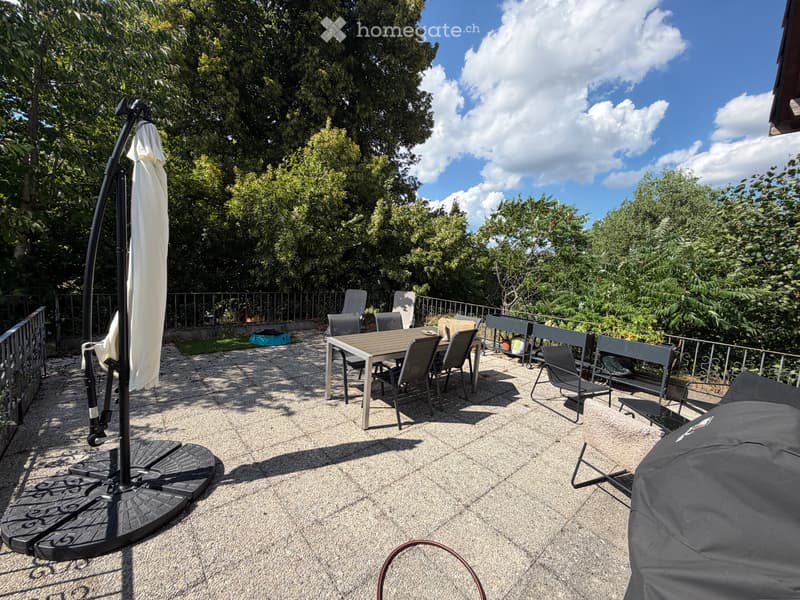 URGENT : reprise de bail - Appartement avec grande terrasse (1)