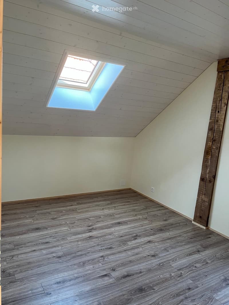 URGENT : reprise de bail - Appartement avec grande terrasse (4)