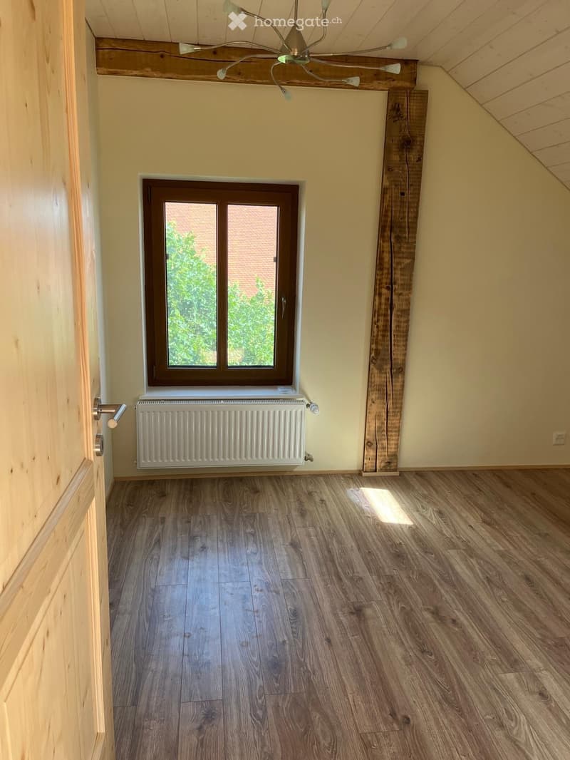 URGENT : reprise de bail - Appartement avec grande terrasse (3)