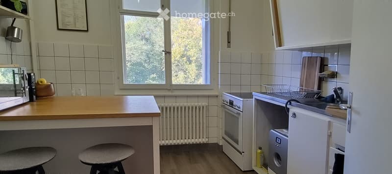 Superbe appartement traversant proche du M2 (CHUV) (4)