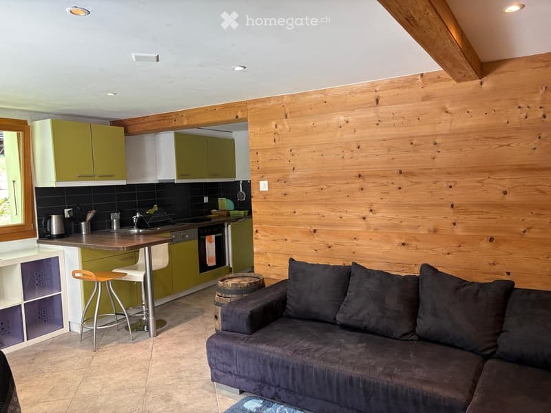 2 pièces équipés cuisine ouverte, salle de bain + terrasse (1)