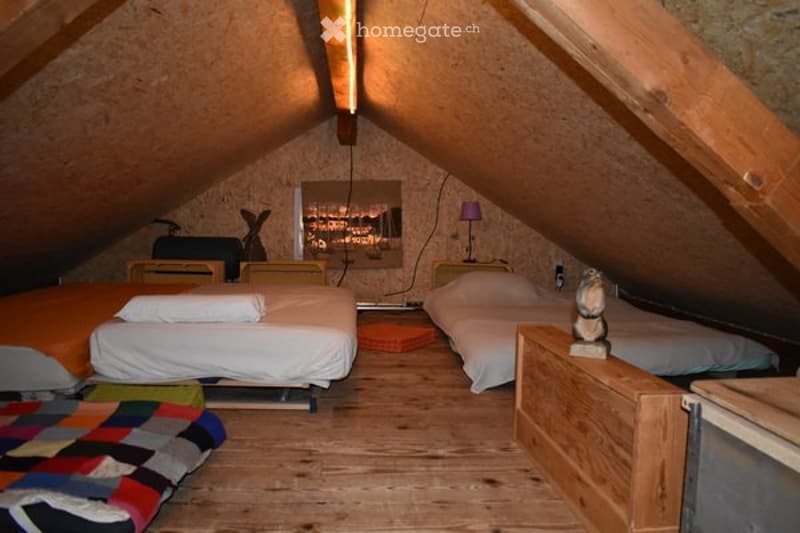 Zimmer bei verlässlicher Mithilfe im Offenstall. (5)