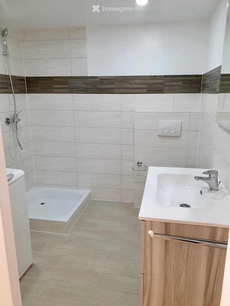 Bel appartement 1,5 pièce (5)