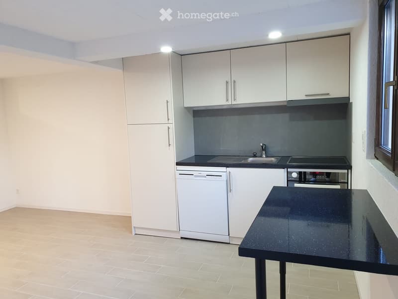 Bel appartement 1,5 pièce (1)