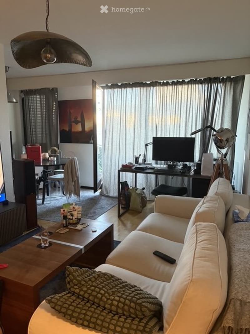 Appartement 3 pièce, bail à reprendre, date à déterminer (4)