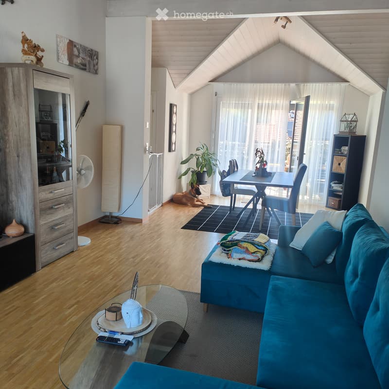 Grand appartement de 3 pièces et demi (1)