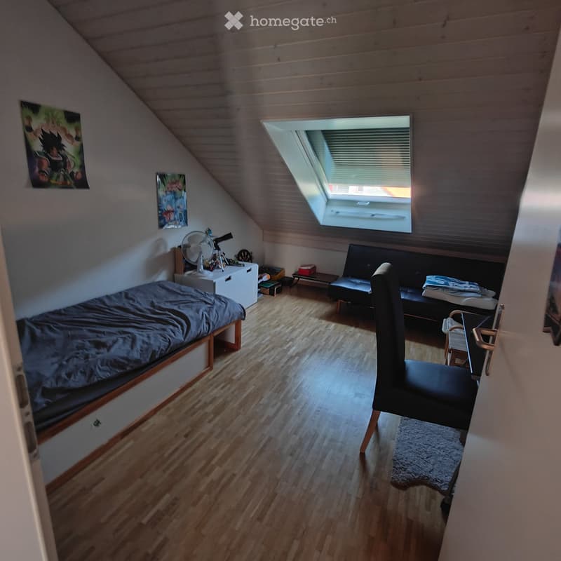 Grand appartement de 3 pièces et demi (5)