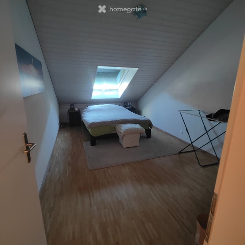 Grand appartement de 3 pièces et demi (4)