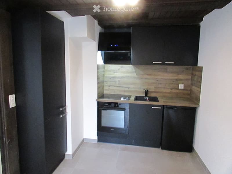 STUDIO 1.5 PCE AVEC CUISINE SEPAREE (4)