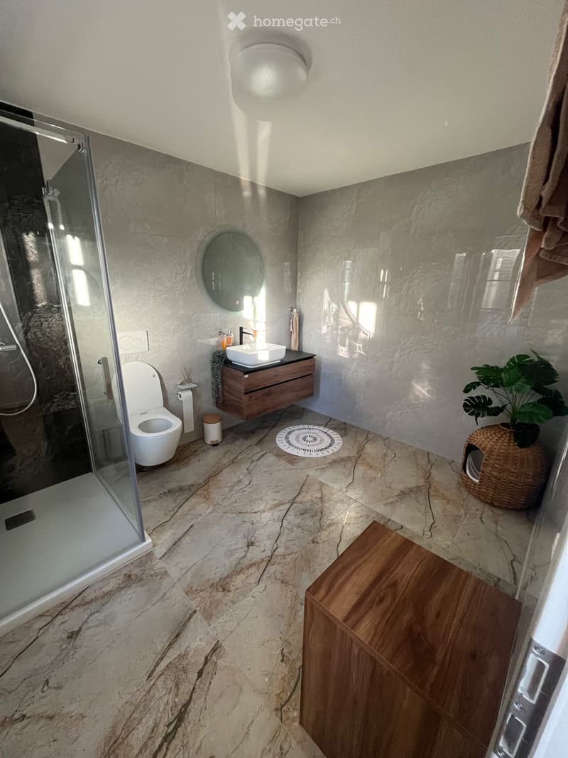 Appartement duplex 5,5 pièces de 145 m² à Dompierre FR (3)
