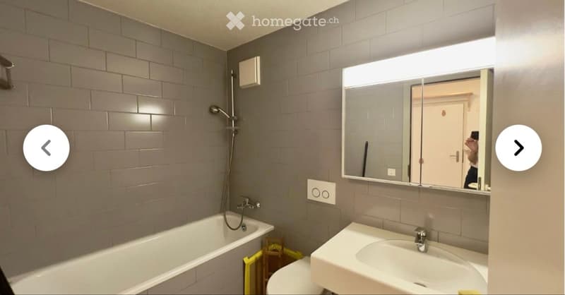 REPRISE DE BAIL - 2,5 pièces avec jardin (2)