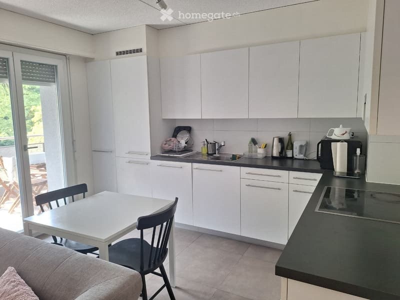 Appartement de 3 pièces rénové avec une belle vue (2)