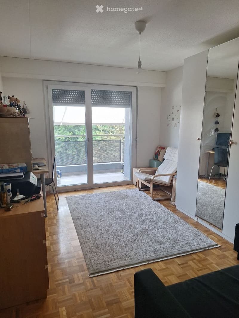 Appartement de 3 pièces rénové avec une belle vue (5)