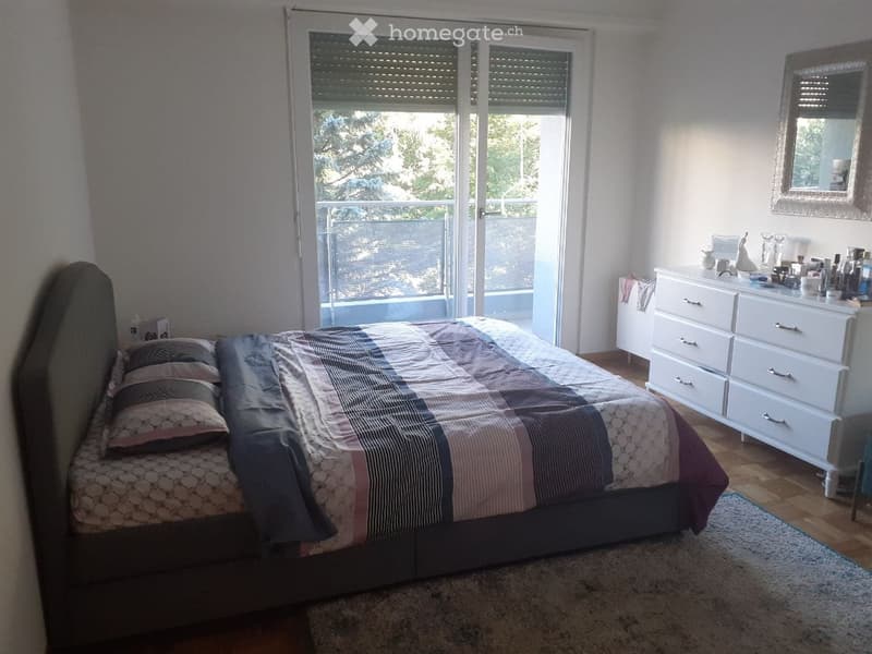 Appartement de 3 pièces rénové avec une belle vue (4)