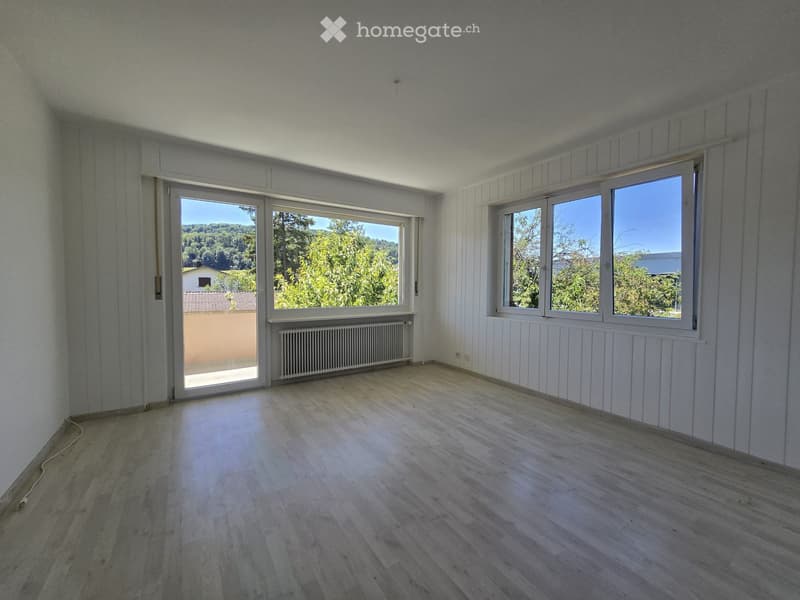 Très joli appartement 4.5 pces rénové (2)