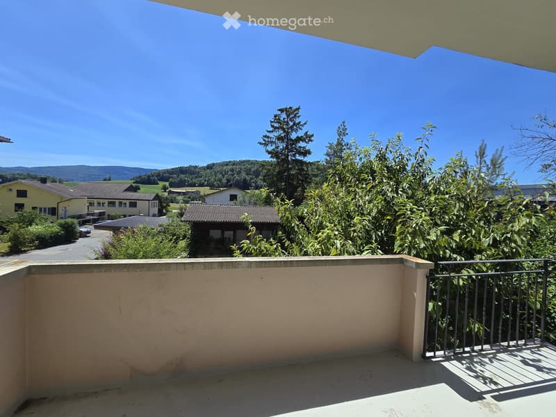 Très joli appartement 4.5 pces rénové (5)