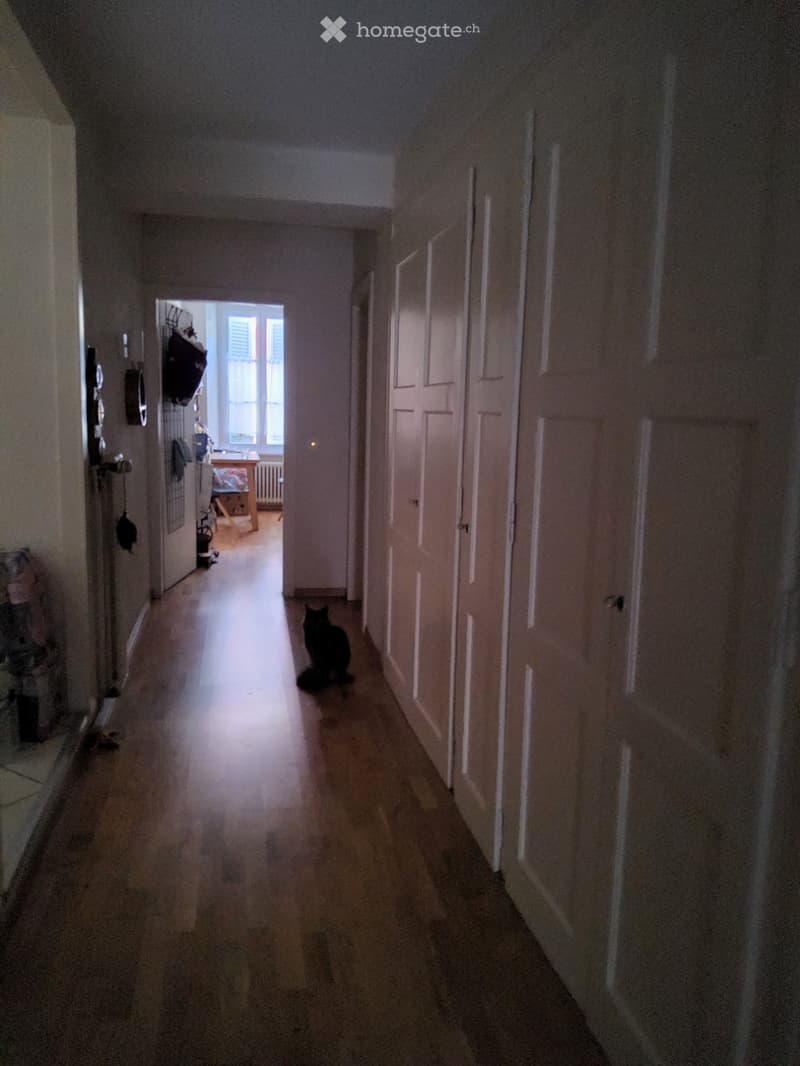 Reprise de bail (2)