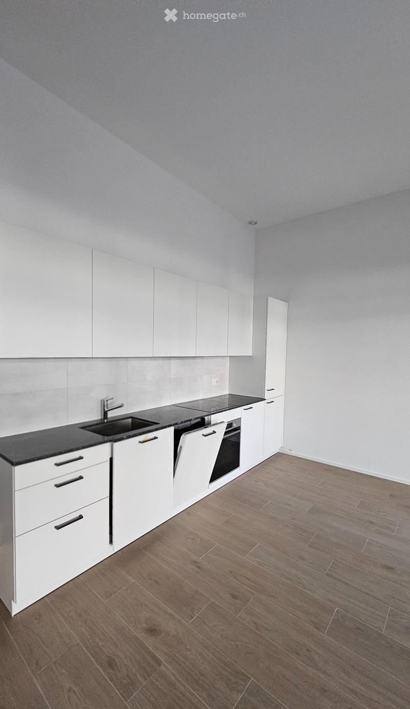 Appartement neuf de 3,5 pièces avec terrasse de 35 m² (2)