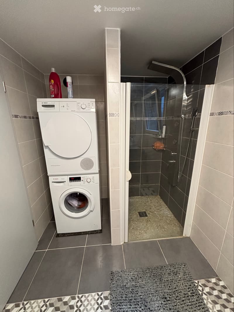Appartement 2,5 pièces + place de parc (4)