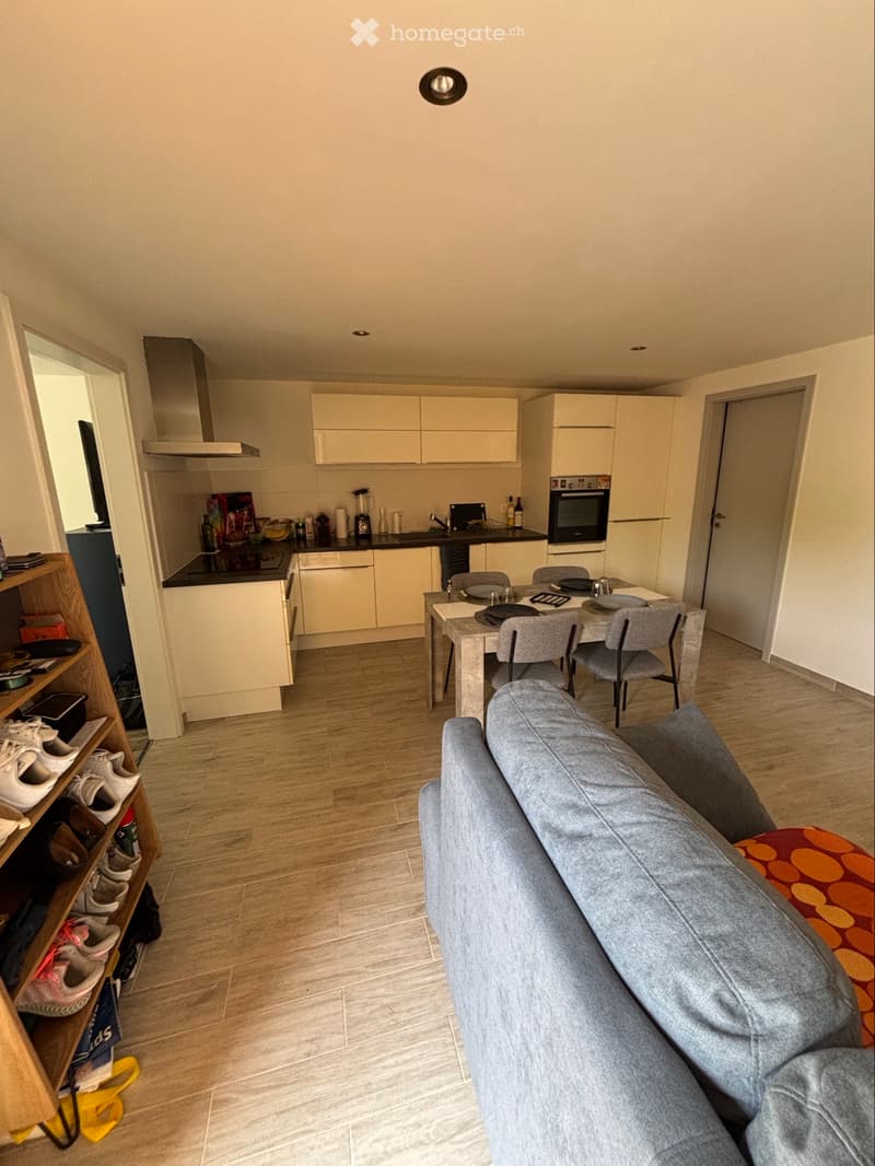 Appartement 2,5 pièces + place de parc (1)