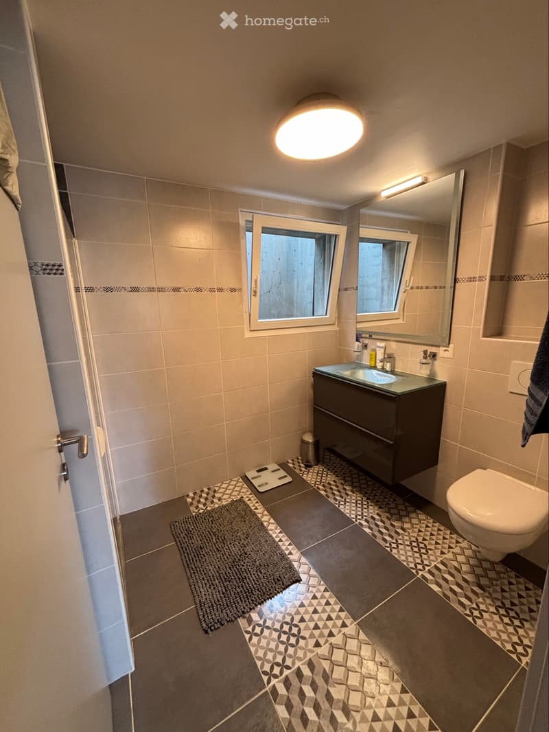 Appartement 2,5 pièces + place de parc (3)