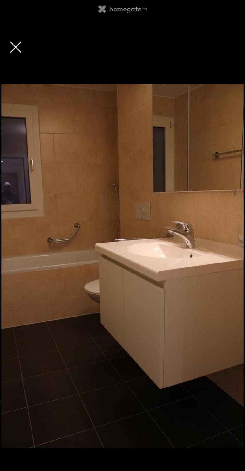 Jolie appartement 3,5 pièces (4)
