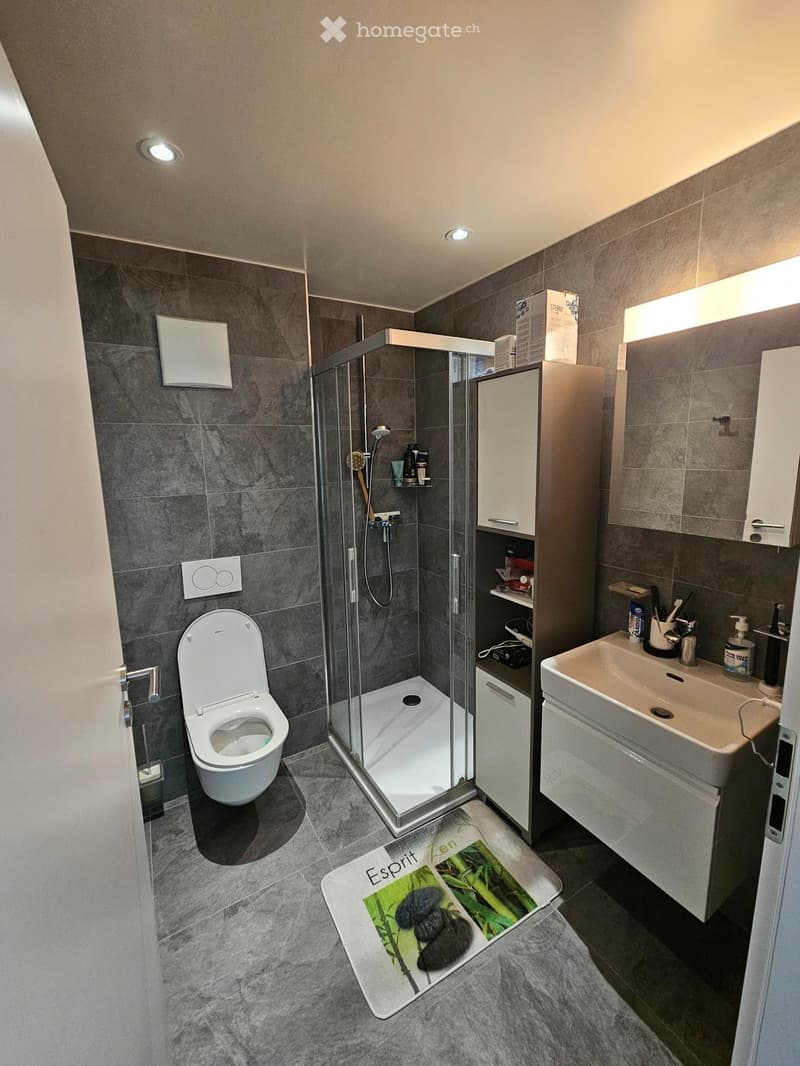 Charmant appartement récent de 3.5 pièces à Vionnaz (2)