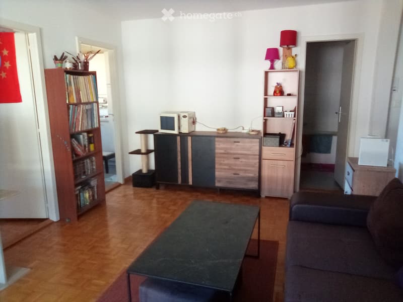 Appartement 3 pièces (3)