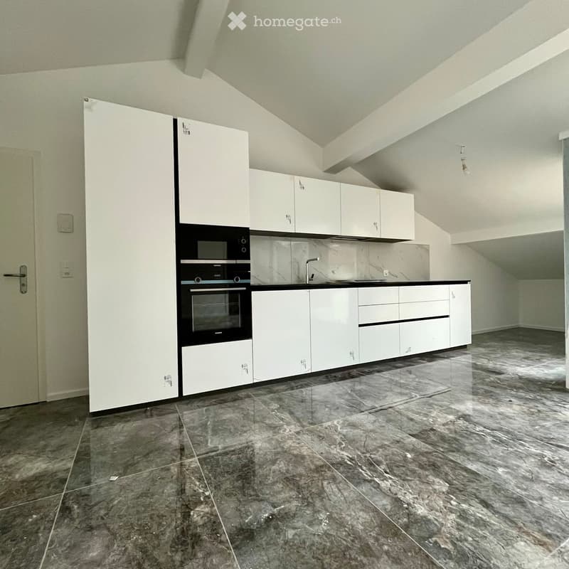 Appartement quasi neuf à louer (2)
