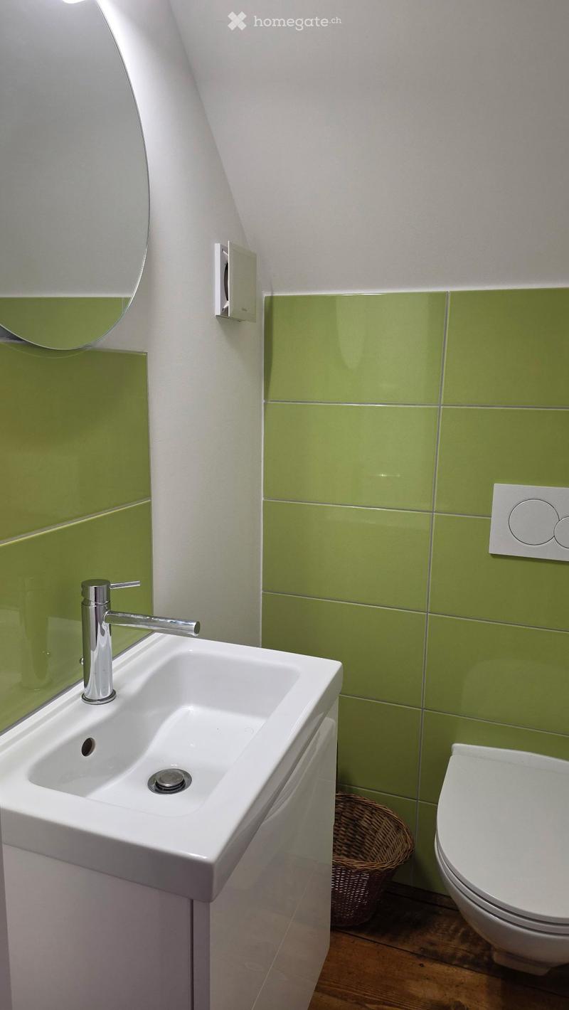 Appartement atypique à Bassecourt (3)