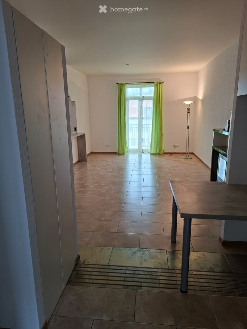 Appartement 3.5 pièces centré et original (4)