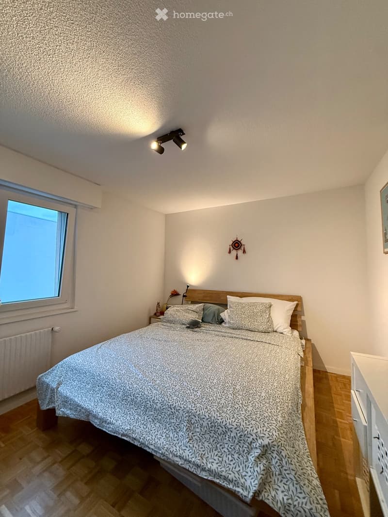 Appartement de 2,5 pièces à Montelly (2)