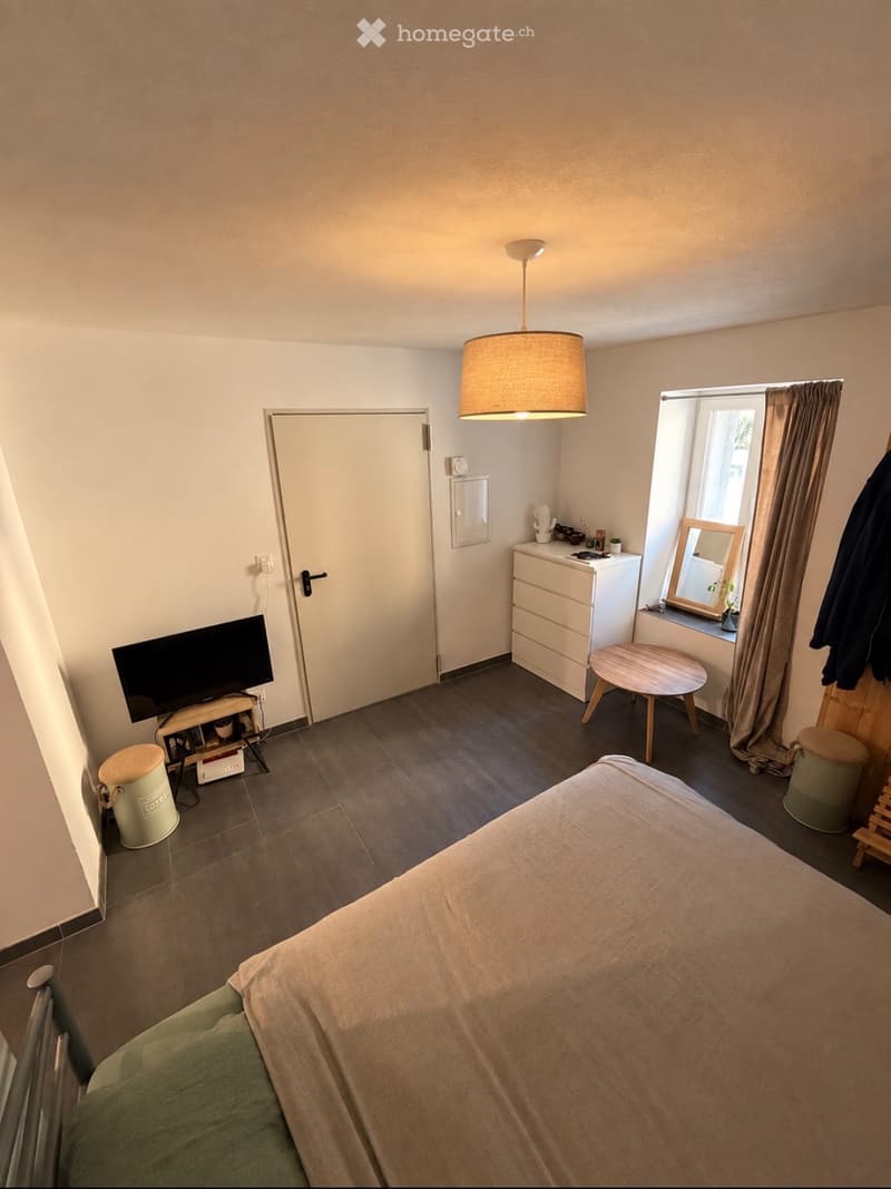 Appartement 1,5 pièces (1)