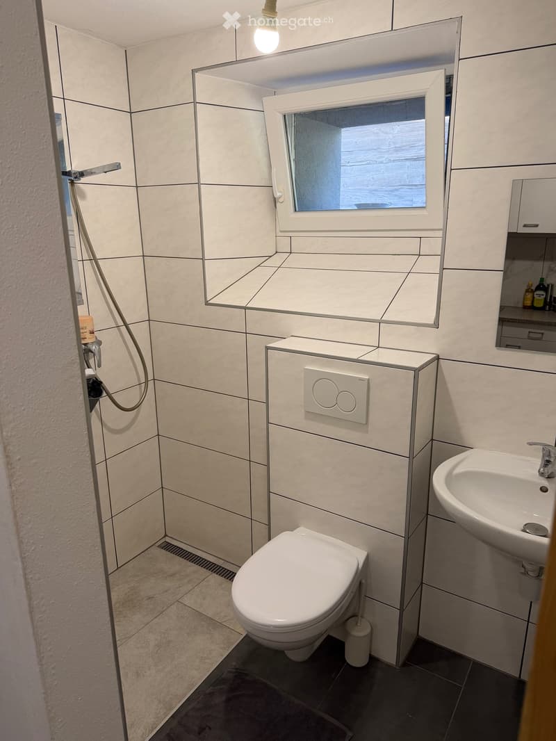 Appartement 1,5 pièces (5)
