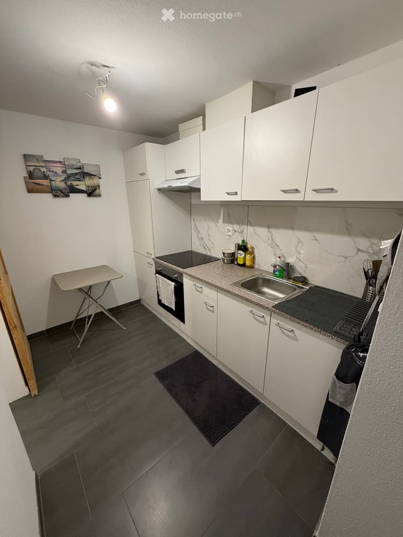 Appartement 1,5 pièces (4)
