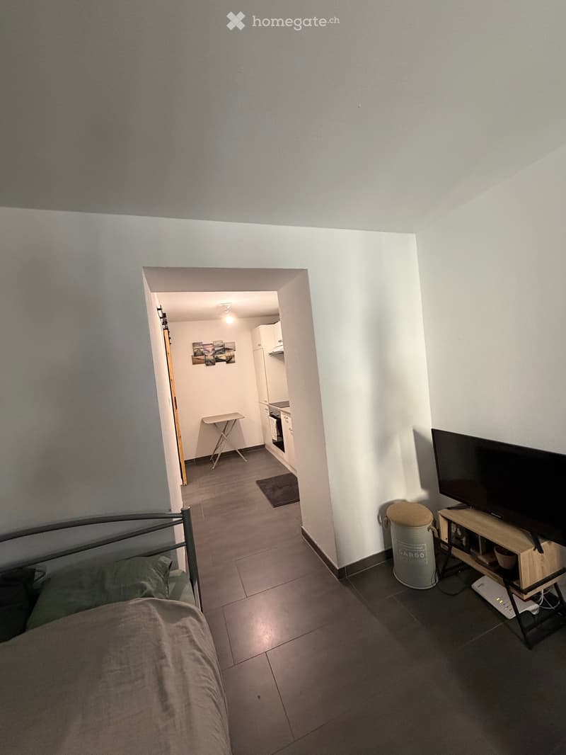 Appartement 1,5 pièces (3)