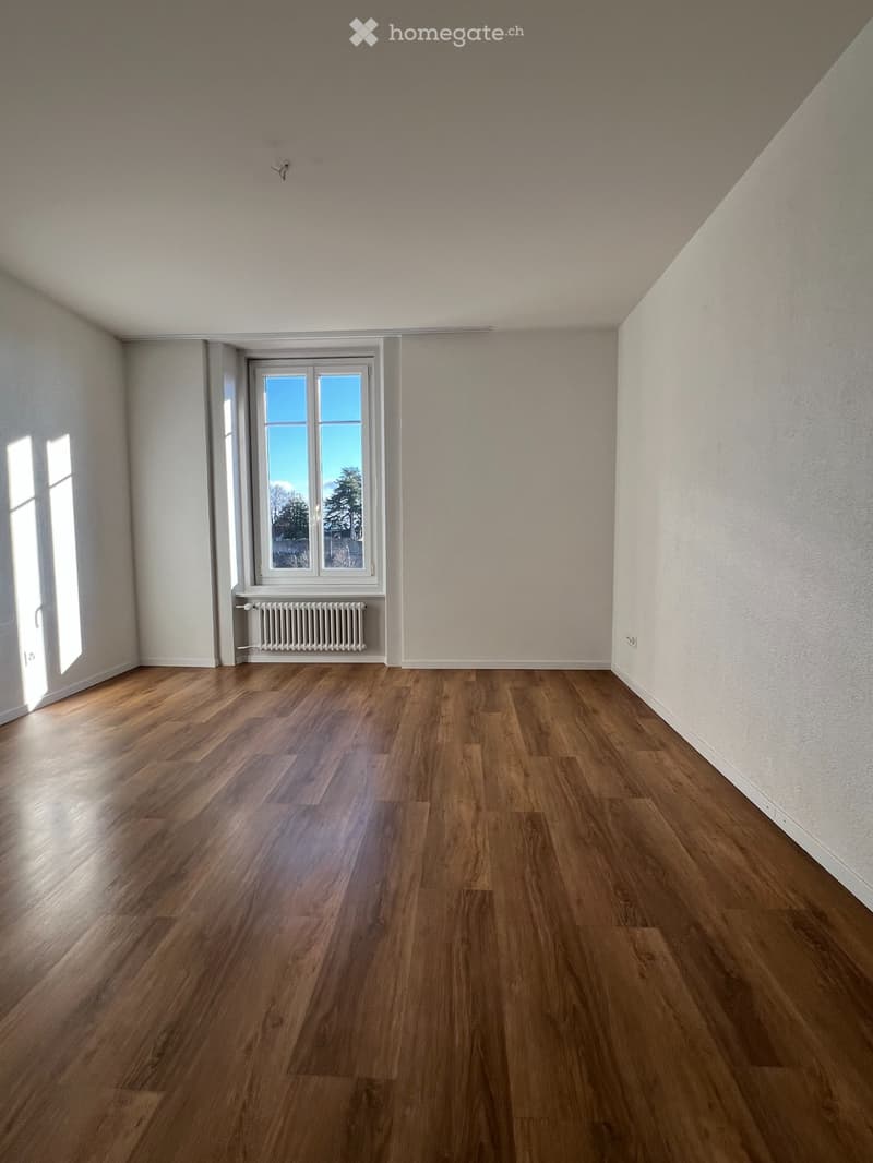 Appartement ensoleillé rénové 3 pièces (2)