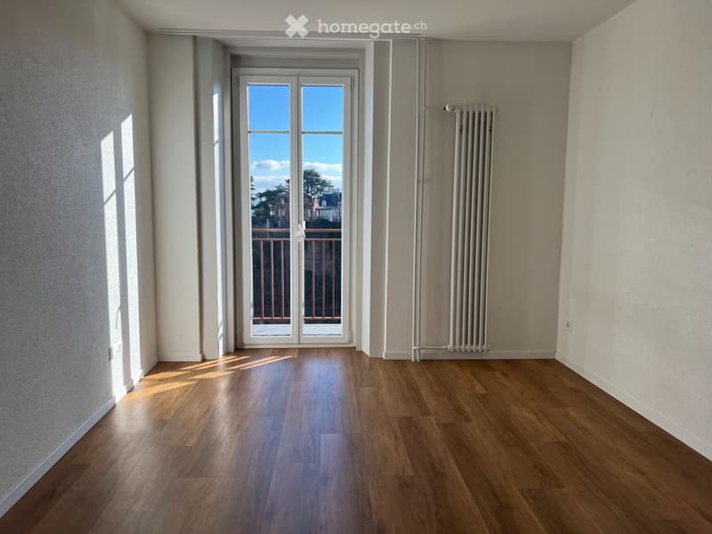 Appartement ensoleillé rénové 3 pièces (4)